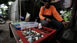 Seorang pedagang memperlihatkan batu khas Nusakambangan, Cilacap, Jawa Tengah, Sabtu (7/3/2015). Maraknya berita hukuman mati di lapas nusakambangan menjadi rejeki bagi warga Desa Wijaya Pura dengan batu-batu khas nusakambangan (Liputan6.com/Johan Tallo)