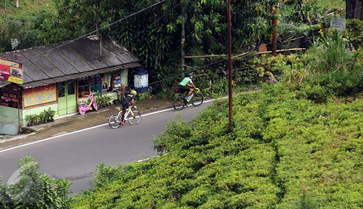 Pebalap sepeda, M Fadli (belakang) saat berlatih di jalan Raya Puncak Cianjur, Bogor, Kamis (23/2). Fokus latihan M Fadli saat ini adalah meningkatkan daya tahan pembalap. (Liputan6.com/Helmi Fithriansyah)