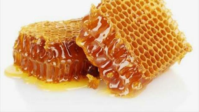 Persediaan Makanan Lebah