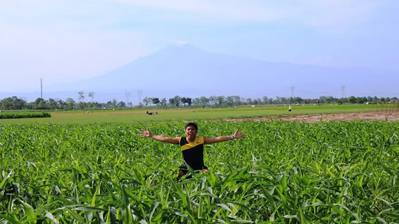 Selain Ngapak, 10 Alasan Kamu Harus Traveling Ke Tegal 