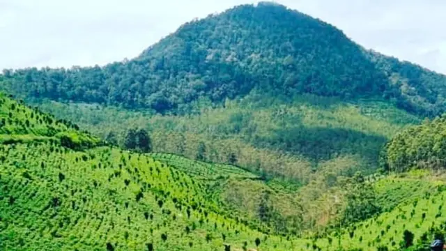 Gunung Kasur di Palintang https://www.instagram.com/p/BsEc10klbJp/?img_index=1&igsh=NnM4OXYwa3ltajM1