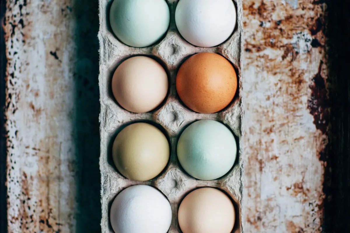 telur