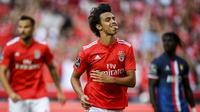 Gelandang Benfica asal Portugal, Joao Felix. (AFP/Patricia de Melo Moreira)