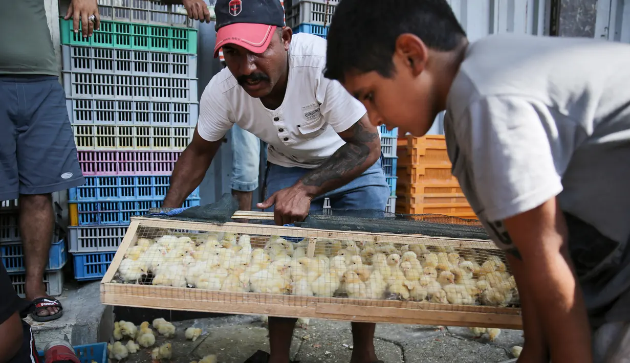 Pedagang membawa anak ayam di pasar hewan peliharaan al-Ghazal di ibukota Irak, Baghdad (11/10/2019). Pasar hewan peliharaan al-Ghazal ini hanya buka pada hari Jumat. (AFP Photo/Ahmad Al-Rubaye)