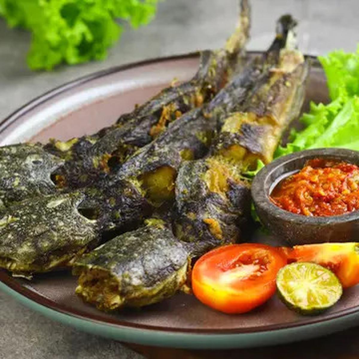 ikan lele