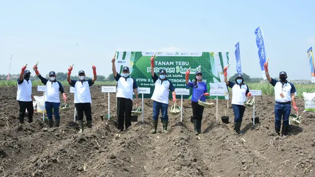 Petrokimia Gresik dan PTPN X menggelar tanam perdana komoditas tebu Program Makmur
