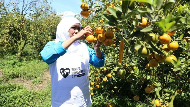 5 Wisata Petik Buah Di Jawa Timur Cocok Untuk Liburan