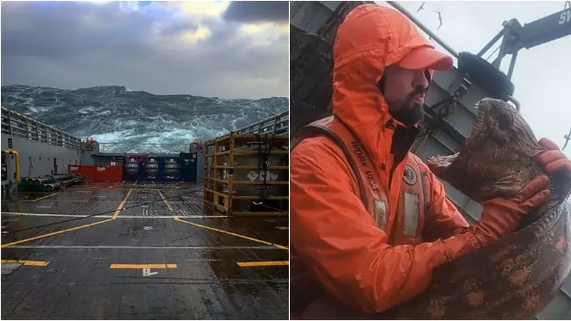 6 Potret Mengerikan yang Diambil Orang saat Bekerja di Laut, Penuh Tantangan