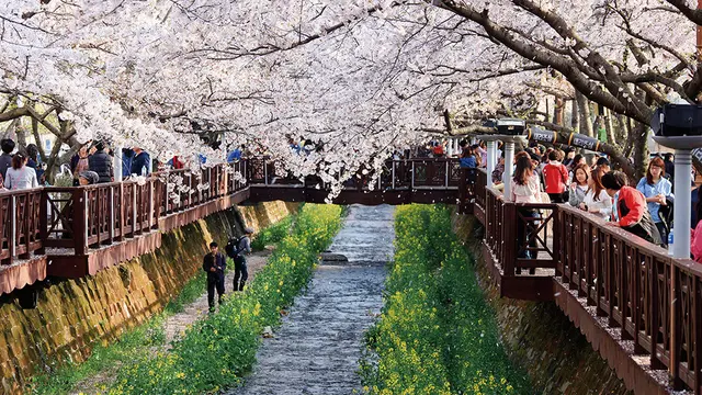 Libur Sekolah, Intip 10 Rekomendasi Tempat Wisata di Korea Selatan dari Seoul hingga Busan