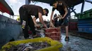 Nelayan menyortir kepiting di dek sebelum dikirim ke pasar setelah sejumlah kapal diizinkan kembali ke laut di kawasan Gaza (23/5/2021). Pelelangan hasil laut di Gaza kembali bergeliat usai sejumlah kapal nelayan diizinkan kembali melaut pasca Israel-Hamas gencatan senjata. (AP Photo/John Minchillo)