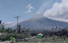 10 Warga Meninggal Dunia, Empat Bandara di Maumere Ditutup Imbas Gunung Lewotobi Meletus