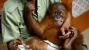 Bayi orangutan Bon Bon saat digendong petugas di Bandara Internasional I Gusti Ngurah Rai, Denpasar, Bali, Senin (16/12/2019). Bon Bon akan dilepasliarkan di hutan Sumatera. (SONNY TUMBELAKA/AFP)