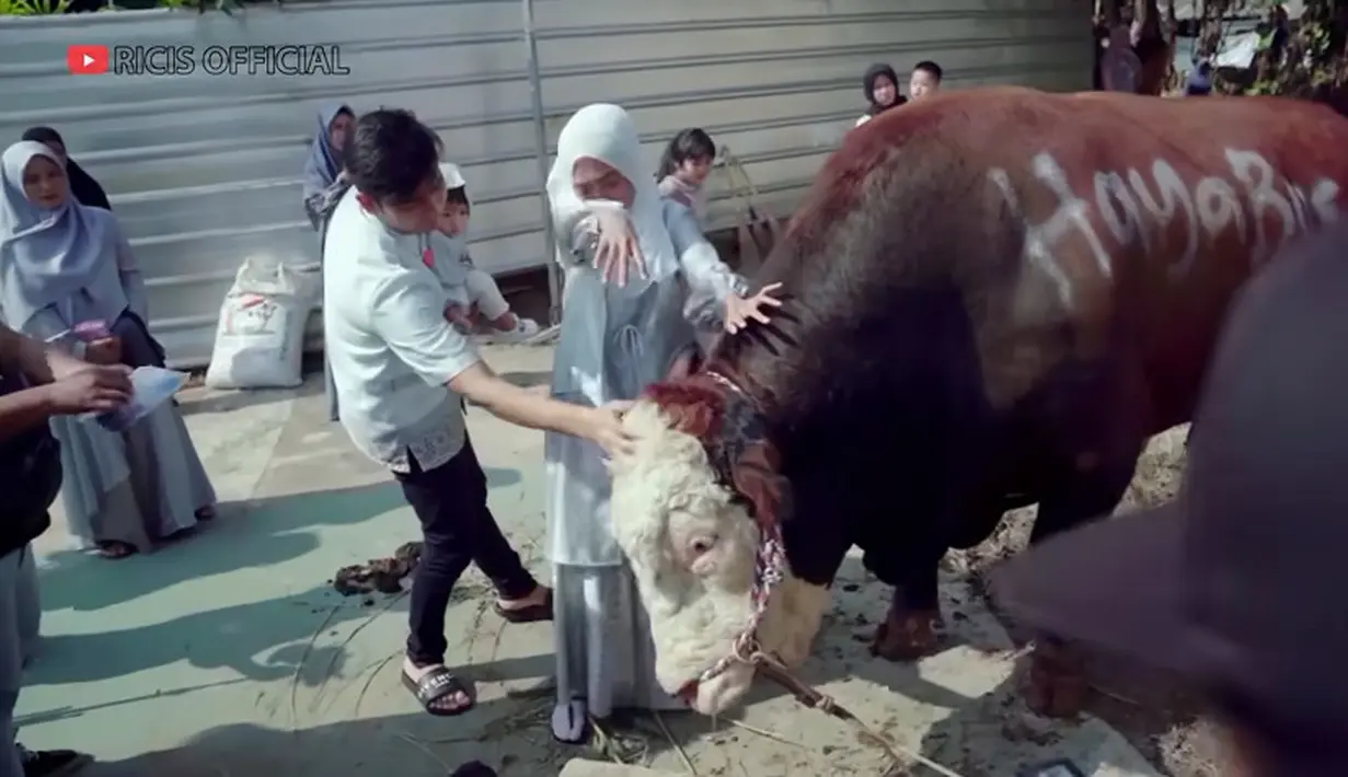Ricis bersama suami dan anaknya saat akan menyaksikan hewan kurbannya. Dalam video di kanal Youtubenya, Ricis tampak bicara dengan sapinya sambil  terisak. [Youtube/Ricis Official]