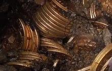 Hendak Gali Kuburan, Penduduk Lokal Kaget Temukan Lebih dari 1.000 Koin Kuno di Turki