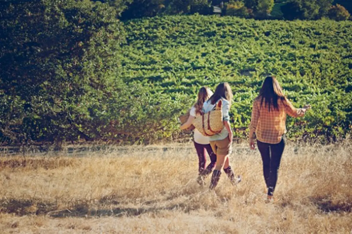 Bukan Introvert atau Ekstrovert? Mungkin Kamu Seorang Ambivert