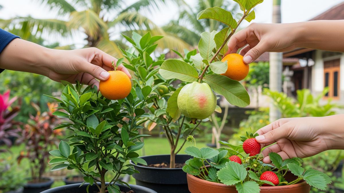 Cara Membuat Tabulampot Rajin Berbuah Sepanjang Tahun, Ini 5 Langkah Suksesnya