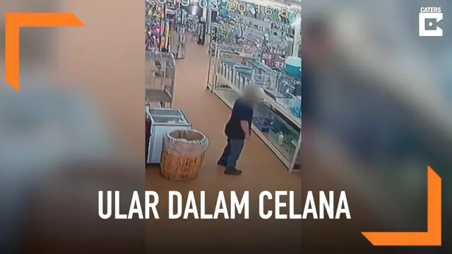 VIDEO: Pria Sembunyikan Ular Curian dalam Celana