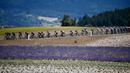 Pemandangan indah saat para pembalap beraksi pada etape 11 Tour de France 2021. (Foto: AFP/Anne-Christine Poujoulat)