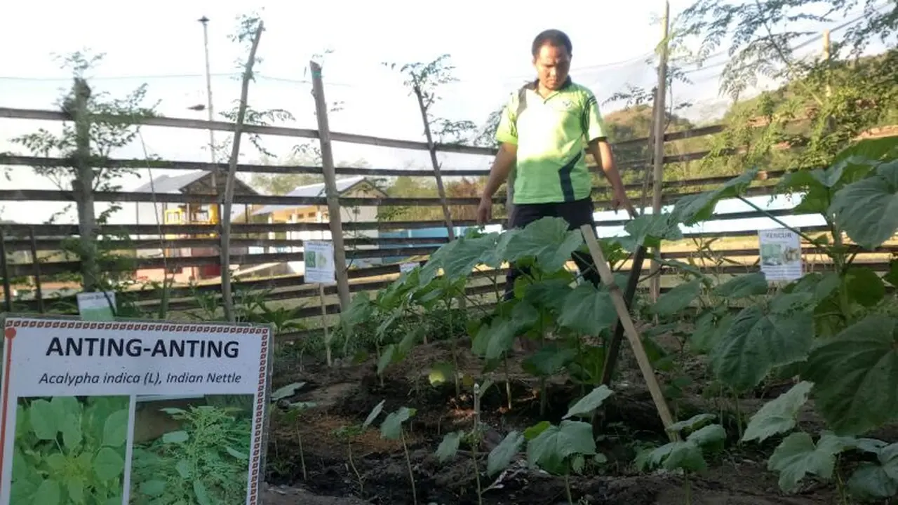 Pemanfaatan Tanaman Obat Keluarga