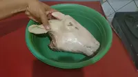 Tanpa Dibakar, Begini Cara Bersihkan Kepala Kambing Sebelum Dimasak (YouTube/AyahSuka Masak)