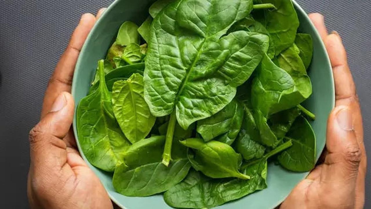 MPASI Kaya Zat Besi: Puree Bayam dan Daging Sapi untuk Balita Anda
