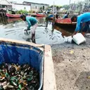 Laut di Bekasi Diduga Tercemar, DPRD Usut Penyebabnya