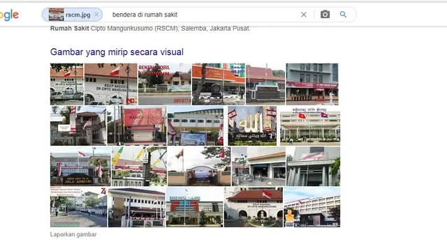 Hasil penelusuran google image bendera Polandia di RSCM.