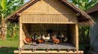 Cara Membuat Kandang Ayam dari Bambu dengan Sirkulasi Udara yang Baik