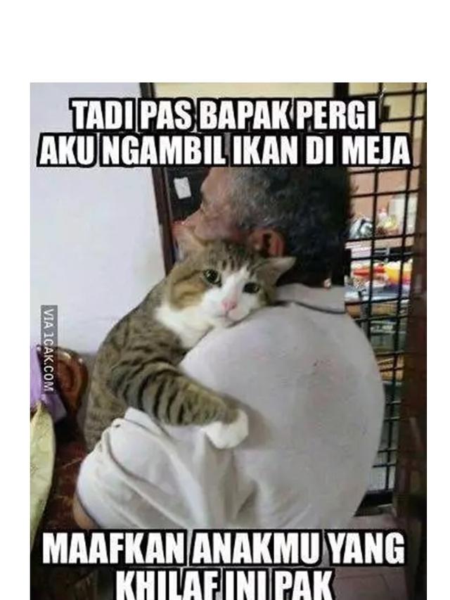 6 Meme Gambar Kucing Ini Bikin Ketawa Lepas, Ubah Sedih Jadi Senyum