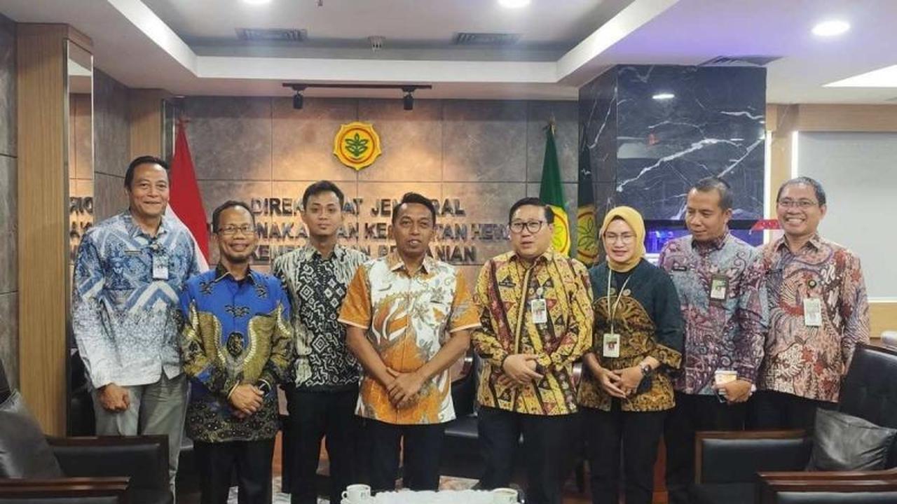 Pemkab Sidrap Targetkan Penambahan Populasi Ayam Petelur Hingga 10 Juta Ekor