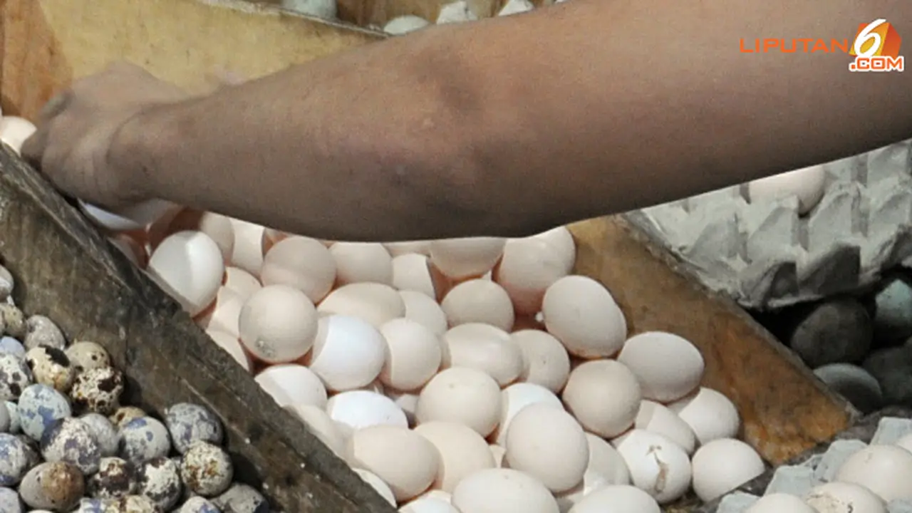 telur-ayam-kampung-2-130625-b.jpg