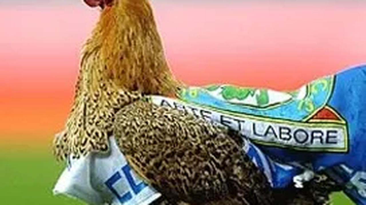 Untuk mengatasi kenaikan harga Pemerintah Malaysia pun siapkan langkah sebagai antisipasi dampak pencabutan subsidi dan harga ayam.<br>