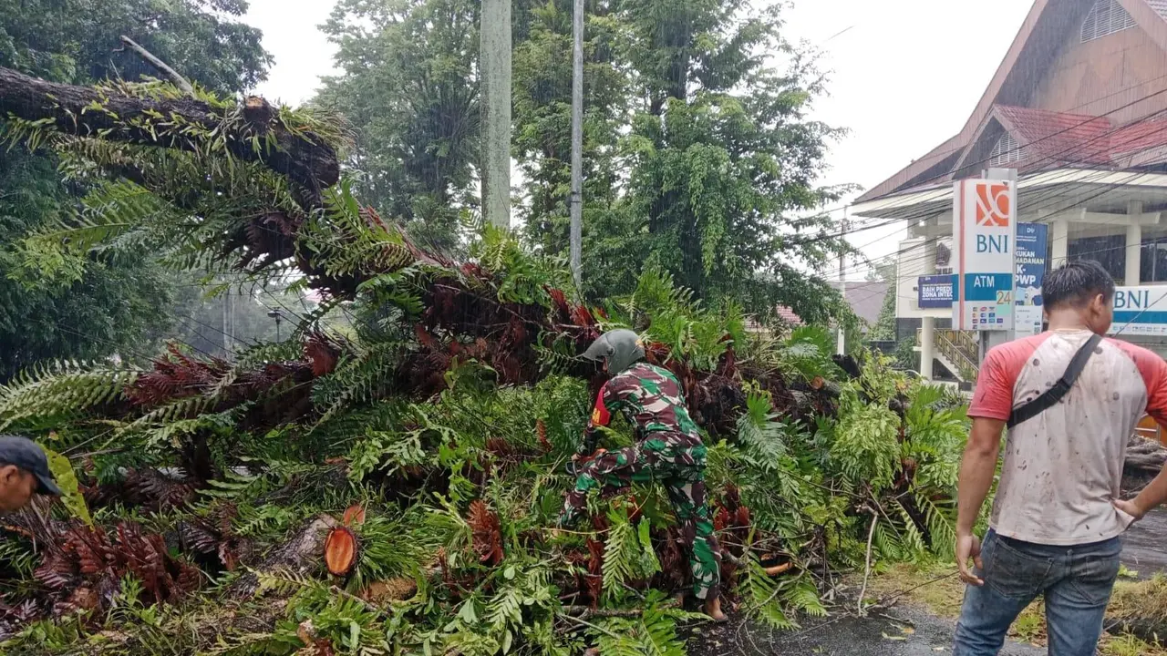 Di Kota Manado, Babinsa Teling Atas Kopda Slamet Riyadi bersama pihak terkait dan masyarakat gerak cepat evakuasi pohon tumbang.