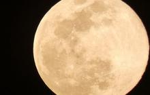 Dari Mana Asalnya Bulan? Ternyata Ini Penjelasan Menurut Ilmiah