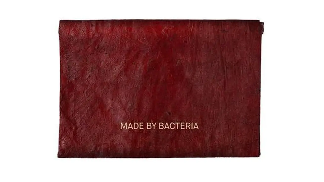 Dompet Pria