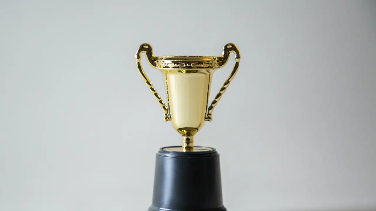 Ilustrasi Kisah Bocah Membawa Banyak Piala ke Makam Ayahnya/dok. Unsplash Giorgio