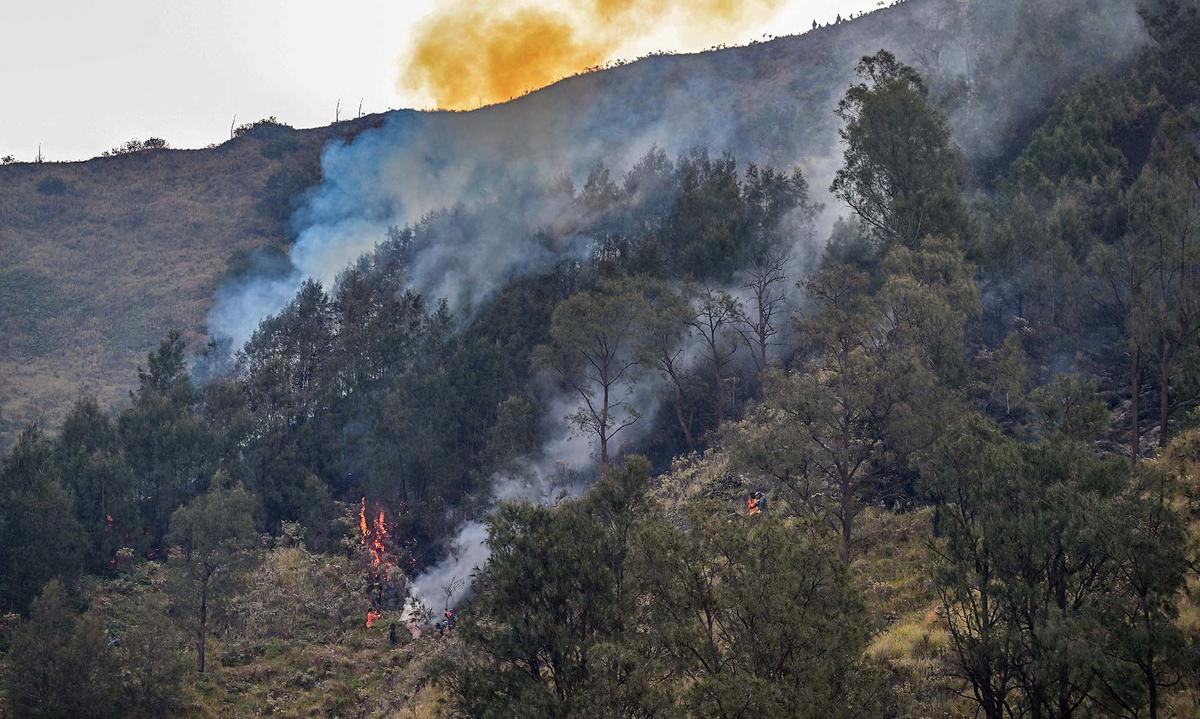 Karhutla Gunung Bromo Meluas Hingga 550 Hektare