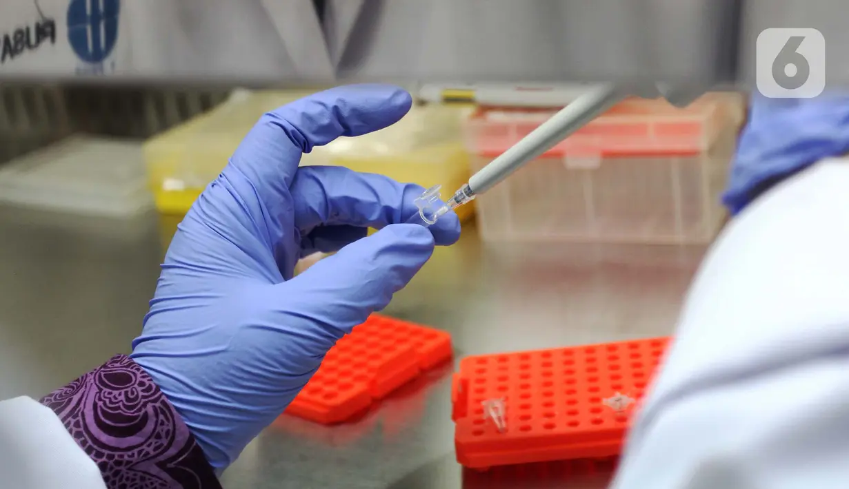 Doktor Tjandrawati Mozef menguji alat deteksi alternatif virus corona di Laboratorium Kimia LIPI Puspiptek Serpong, Tangerang Selatan, Rabu (26/8/2020).  Formula deteksi virus corona dengan metode RT LAMP tersbut dapat dideteksi dengan waktu kurang dari satu jam yang dinamai QIRANI 19 KIT. (merdeka.