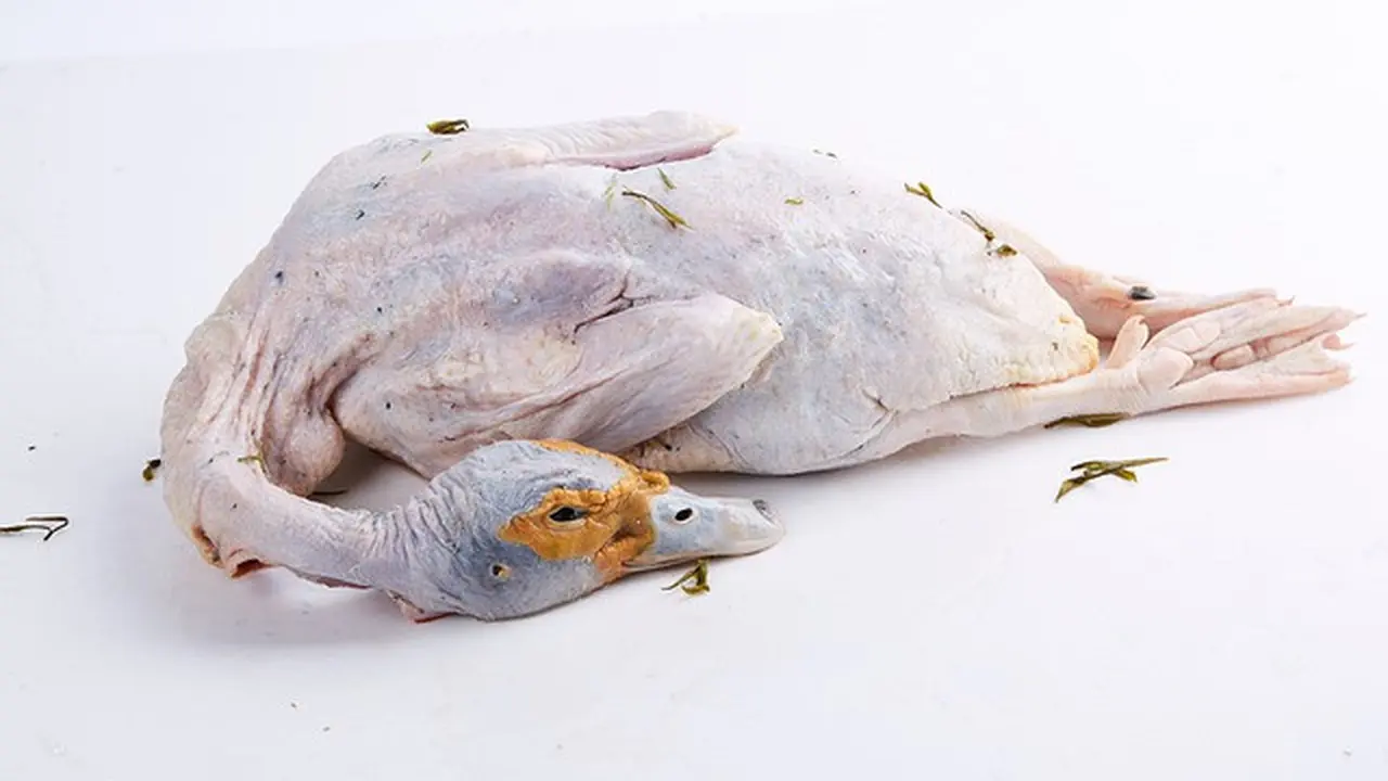Daging Bebek