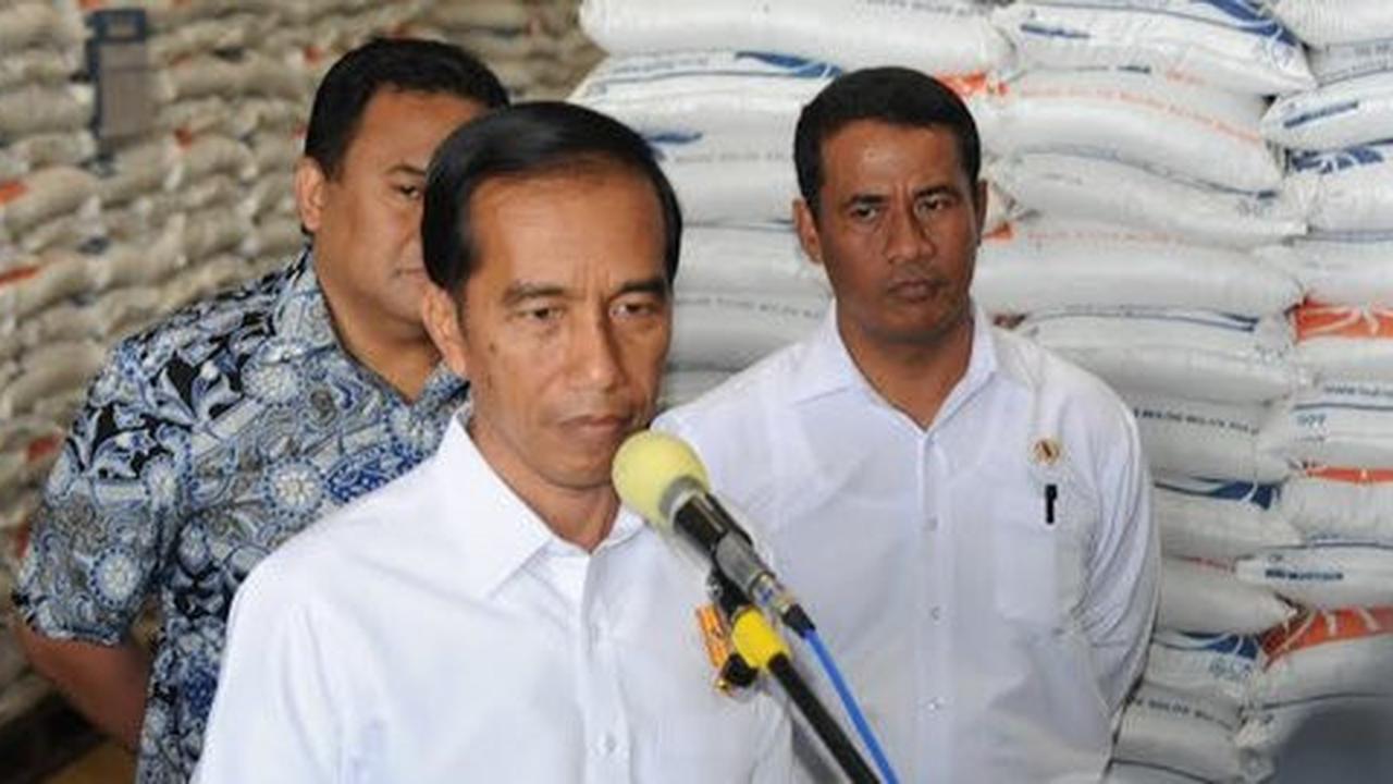 Irman sebut Jokowi tak mungkin jadi wali kota tanpa pilkada langsung