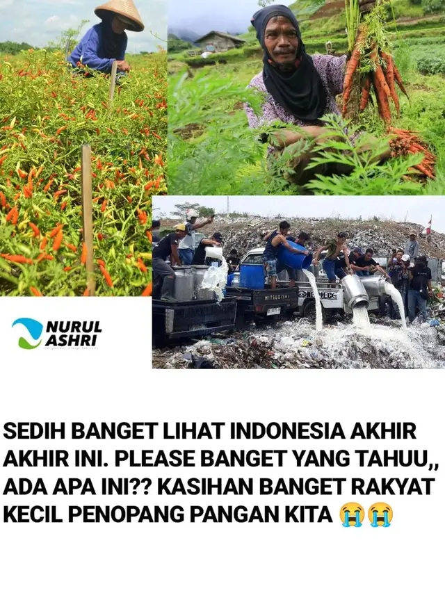 Masjid Nurul Ashri Soroti Petani Susu dan Sayur Merugi