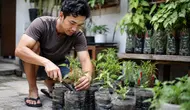 15 Tips Menanam Cabai di Botol Bekas agar Tumbuh Subur, Panduan agar Berbuah Lebat