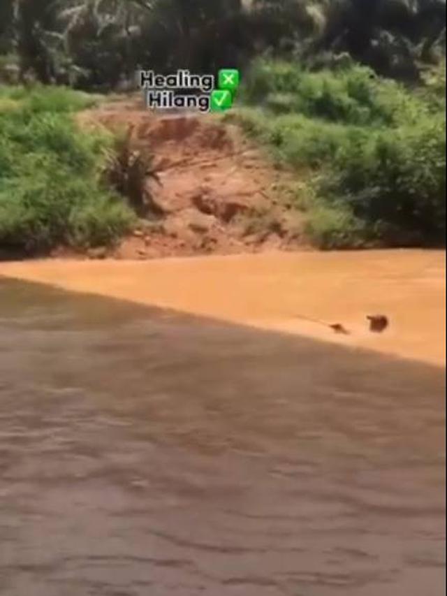 Viral, Aksi Nyeleneh Orang Mancing di Sungai Ini Bikin Netizen Panik