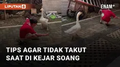 Seorang bocah membagikan tips and trik jika bertemu soang di jalan