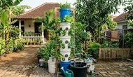 5 Cara Membuat Menara Hidroponik dari Ember Bekas, Solusi Berkebun Hemat Lahan