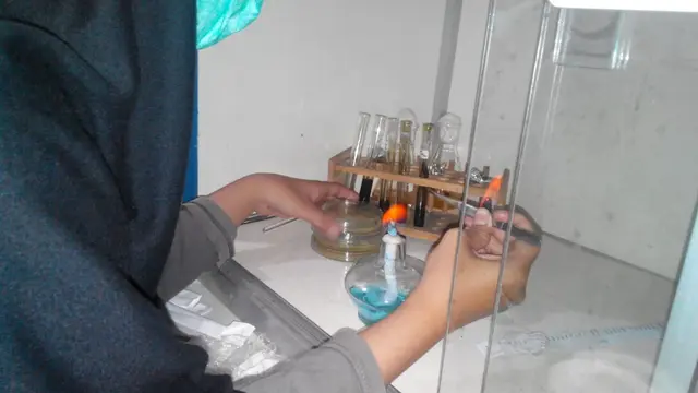 Mahasiswa meneliti Bandotan yang ternyata bermanfaat sebagai antibakteri dan antiinflamasi atau radang. (Foto: Liputan6.com/Muhamad Ridlo).