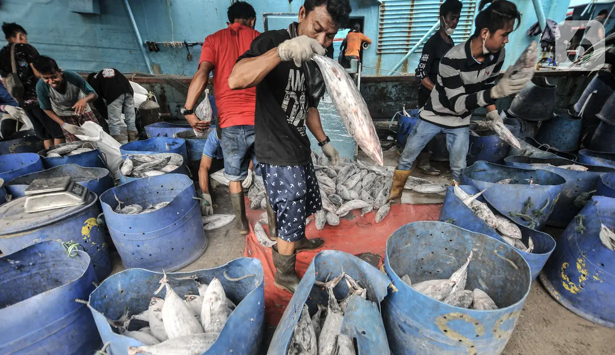 Aktivitas nelayan saat menurunkan ikan hasil tangkapan di Pelabuhan Muara Baru, Jakarta, Kamis (5/8/2021). Data KNTI mencatat, tingkat ekonomi nelayan kembali bangkit dan kian membaik sepanjang tahun 2021 meski masih berada di tengah pandemi Covid-19 yang belum usai. (merdeka.com/Iqbal S. Nugroho)