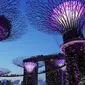 Gardens By The Bay Singapura (Sumber: PIxabay)