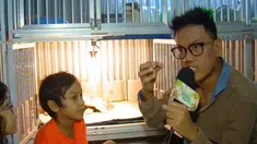 liputan6