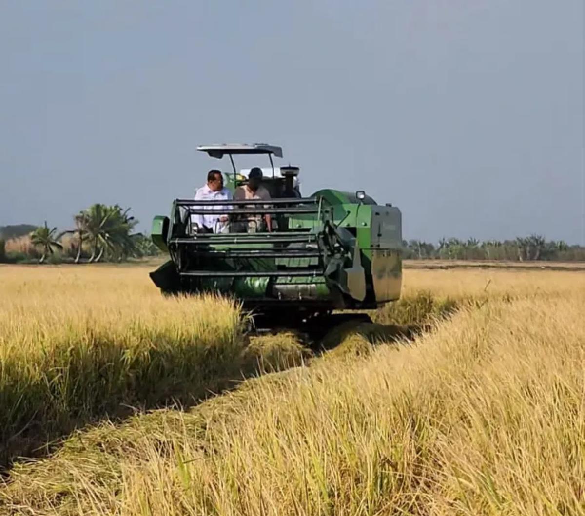 "Untuk rata-rata harga gabah kering giling (GKG)di tingkat petani Rp7.703 per kg atau naik 4,29 persen. Kemudian, di tingkat penggilingan Rp7.818 per kg atau naik 4,26 persen," pungkas Pudji